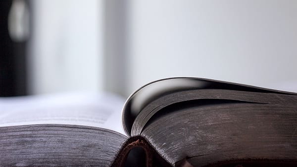 A thick book lying open, both pages of dense printed text catching the light