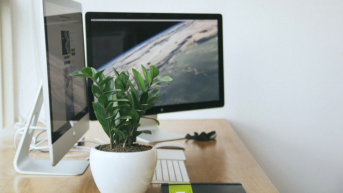 Two computer monitors standing on a desk in an otherwise empty workspace