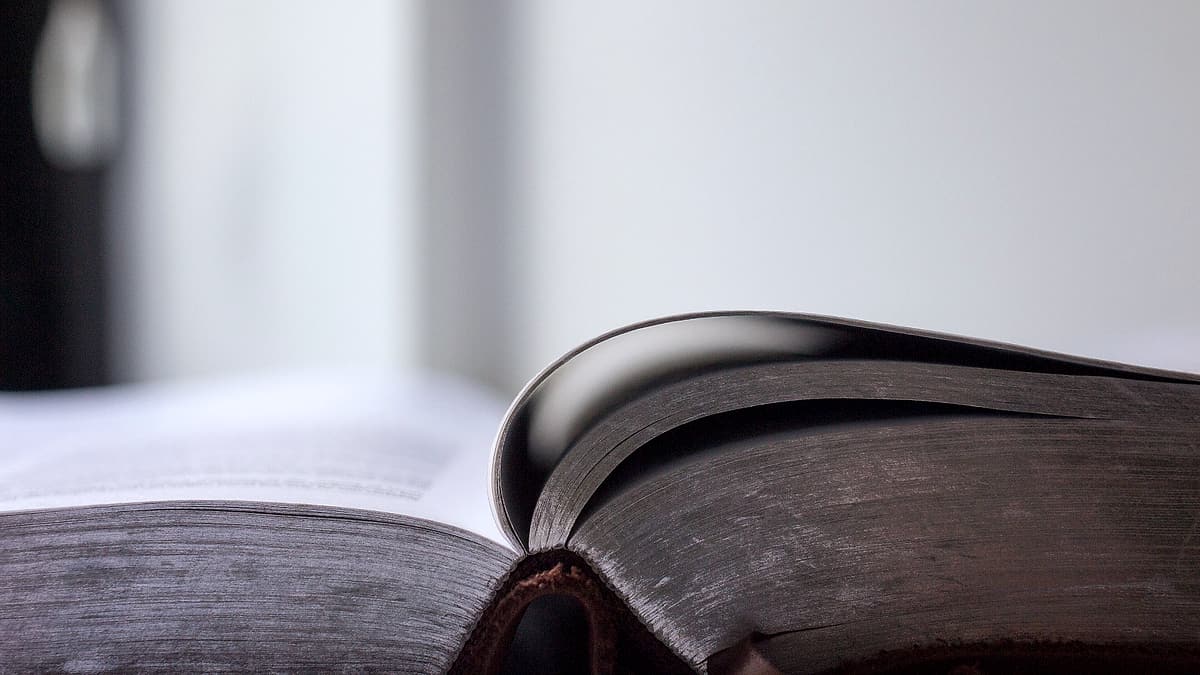 A thick book lying open, both pages of dense printed text catching the light